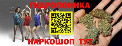 2c-b Будённовск