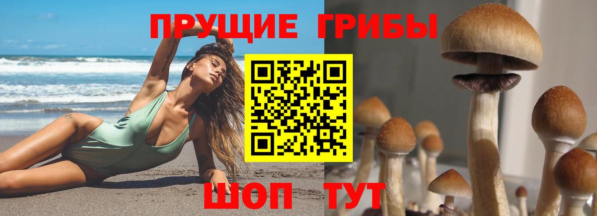Светлоград  Галлюциногенные грибы Magic Shrooms  Вход с VPN 